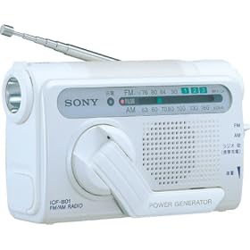 SONY ��񂵏[�d���W�I �z���C�g