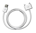 Apple Dock Connector to USB 2.0 Cable (White)