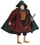 Lord of the Rings Fellowship of the Ring Deluxe Action Figure Frodo