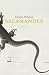 Salamander (Hardcover)