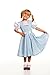 Kidcostumes Child's Dorothy Costume Dress for The Wizard of Oz, Small 4/6