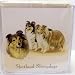   - Sheltie Family Stationery Note Cube by Artist Robert May