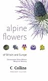 Alpine Flowers of Britain and Europe (Collins Pocket Guide)
