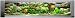 On The Edge 900313 Large Wall Aquarium
