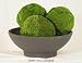 Preserved Moss Balls (Green) (5