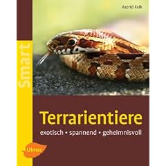 Terrarientiere: Exotisch - spannend - geheimnisvoll