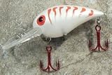 JLVLures Shallow Crankbait Pearl Dragon : Diver Lures JLV Freshwater Smallmouth Steelhead Pike Salmon Trout Perch Whiper Mid Depth Walleye Casting Bass Hook Treble Red Boat Dock Brook Bay Fatty Stump River Trolling Weed Surface Topwater Shad