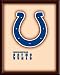 Indianapolis Colts WOODEN WALL ART BAR/GAMEROOM/HOME DECOR - POSTER/PRINT