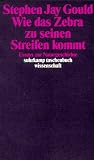 Wie das Zebra zu seinen Streifen kommt: Essays zur Naturgeschichte (suhrkamp taschenbuch wissenschaft) - Stephen Jay Gould