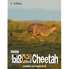 Big Cat Diary: Cheetah