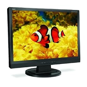 NEC AccuSync 24WMCX 24-inch LCD Monitor