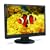NEC AccuSync ASLCD24WMCX-BK 24 inch Wide Screen 2000:1 5ms DVI/HDMI LCD Monitor (Black)