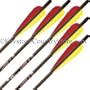 6 - Pk. Gold Tip� 22" Carbon Bolts Moon Nock