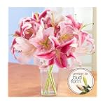 Lilies for