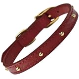 BIRDIE ネイルヘッドカラー 21 レッド 740