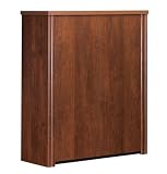 41WMrb2B9EL. SL160  2 Door Cabinet   Classic Flame   Bestar Office Furniture   60510 1163