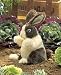 Plush Baby Dutch Rabbit Puppet 8 