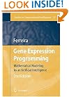 Gene Expression Programming: Mathematical Modeling by an Artificial Intelligence (Studies in Computational Intelligence)