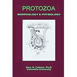 protozoa morphology  physiology microbiology series
