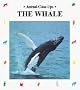 The Whale, Giant of the Ocean (Animal Close-Ups)