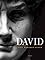 David: Five Hundred Years
