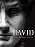 David: Five Hundred Years