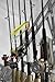 Wallmonkeys Peel and Stick Wall Decals - Saltwater Sport Fishing - Removable Graphic