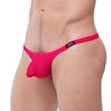 Mens Mesh Sexy Torrid Mesh Thong Underwear by Gregg Homme