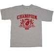 CHAMPION - Lions - Heather Gray T-shirt