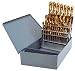 Carrera DW29S Titanium Stubby Drill-Bit Set (29-Pc.)