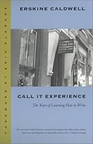 Call It Experience: The Years of Learning How to Write (Brown Thrasher Books)