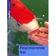 Faszinierende Koi