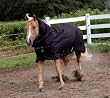 Rambo Quarter Horse Waterproof Blanket