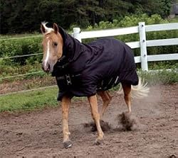 Rambo Quarter Horse Waterproof Blanket