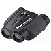 Nikon Zoom-Fernglas 8-24x25 Eagleview schwarz