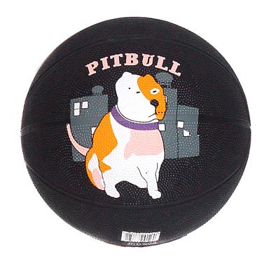 Buy Basketball - Black Pitbull by Big City Closeouts