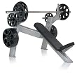 FreeMotion Commercial EPIC Olympic Incline Bench FreeMotion Commercial EPIC Olympic Incline Bench