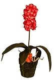Small Hyacinth - Yellow - Artificial Plant