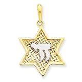 14k and Rhodium Mesh Star of David with Chai Pendant