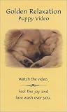 Golden Relaxation Puppy Video [VHS]
