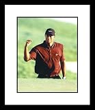 Tiger Woods PGA Golf Framed 8x10 Photograph Fist Pump