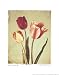 Spring Color II Beautiful MUSEUM WRAP CANVAS Print with Added BRUSHSTROKES Amy Melious 11x14