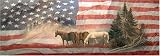 HORSE AND FLAG REAR WINDOW MURAL,DECAL,TINT