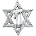 PRE-HOLIDAY SALE!!! 10% OFF 14K White Gold Star of David Lapel Pin with Chai - 23.25x20.25mm