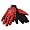 Texas Tech Red Raiders