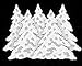 White Pine - Placemat 14