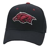 Zephyr DHS Arkansas Razorbacks Black Fitted NCAA College Hat - 7 1/4