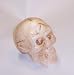Skull Soap & Candle Mold