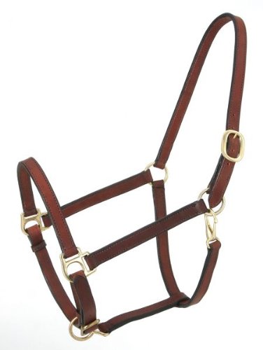 Royal King Narrow Leather Track Halter