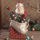 Santa Surprise